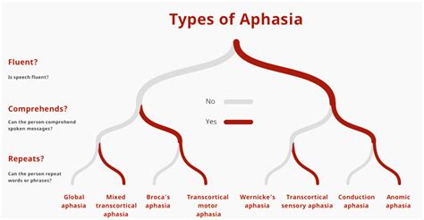 aphkhihe|Etiological Types of Aphakia .